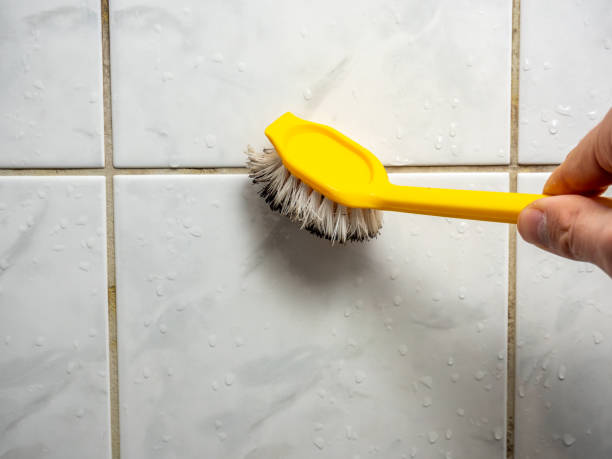 Best Residential Mold Removal  in Flemington, PA