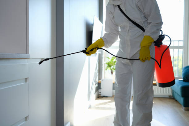 Best Certified Mold Removal  in Flemington, PA