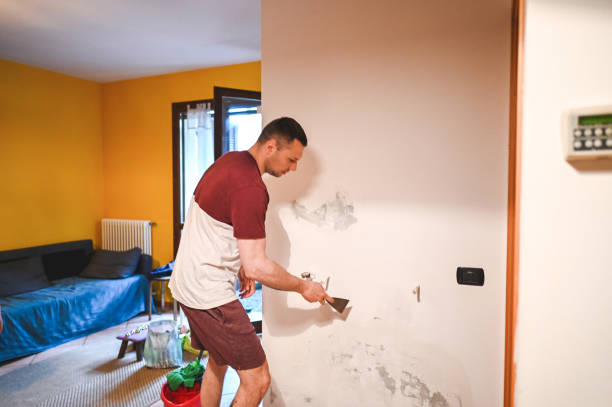 Certified Mold Removal in Flemington, PA
